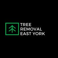 Tree Removal East York image 4